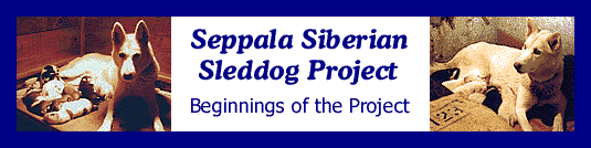 The Seppala Siberian Sleddog Project began in 1990 in the Spanish Pyrenees when J. Jeffrey Bragg and Isa Boucher began to re-acquire sled dogs of the Leonhard Seppala strain, descended from their Markovo dogs of the 1970s.